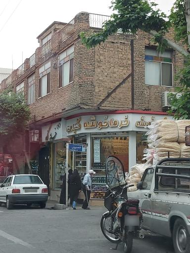 عکس خرما خوشه رطب عسل