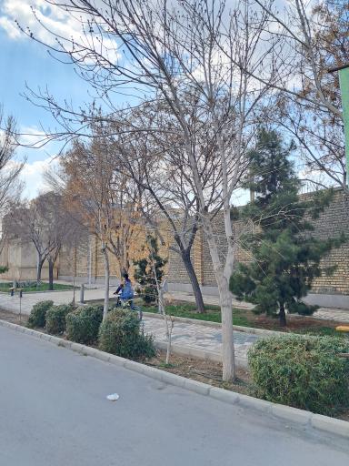 عکس فضای سبز چهارراه زاهد