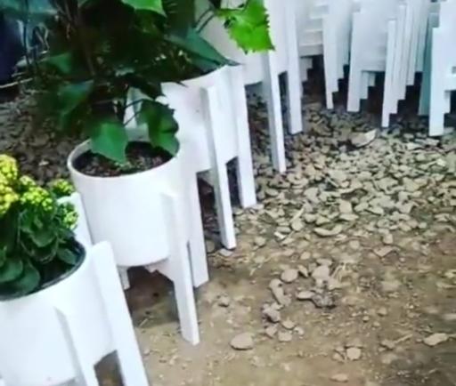 عکس گلخانه همیشه سبز مشهد