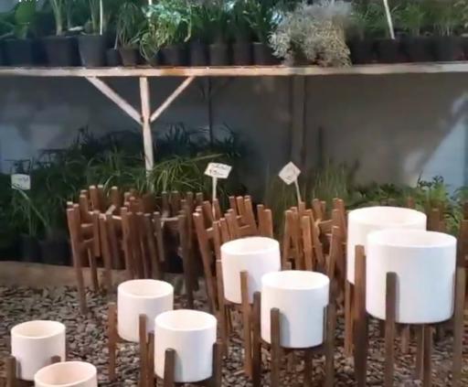 عکس گلخانه همیشه سبز مشهد