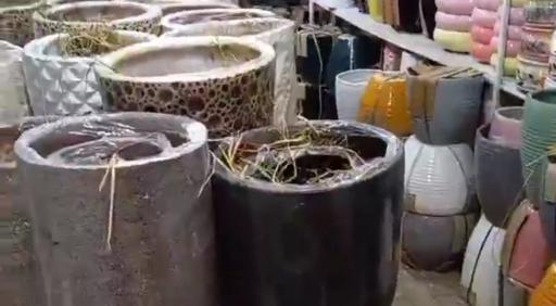 عکس گلخانه همیشه سبز مشهد