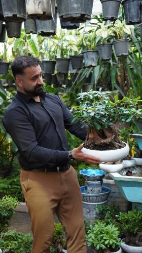 گلخانه همیشه سبز مشهد