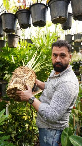 گلخانه همیشه سبز مشهد