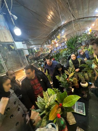 گلخانه همیشه سبز مشهد