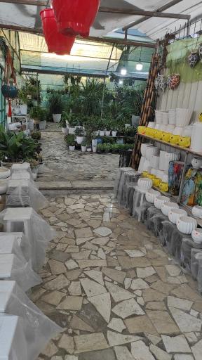 عکس گلخانه یاس