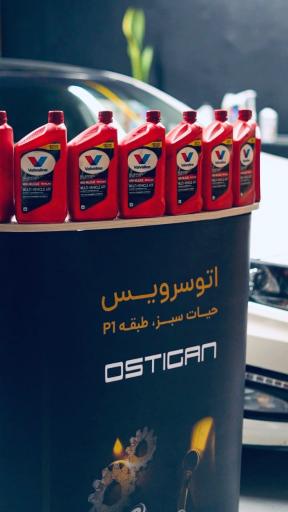 عکس اتوسرویس استیگان