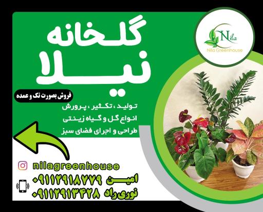 عکس گلخانه نیلا