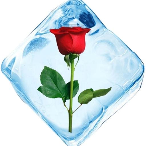 فروشگاه پوشاک رزآیس