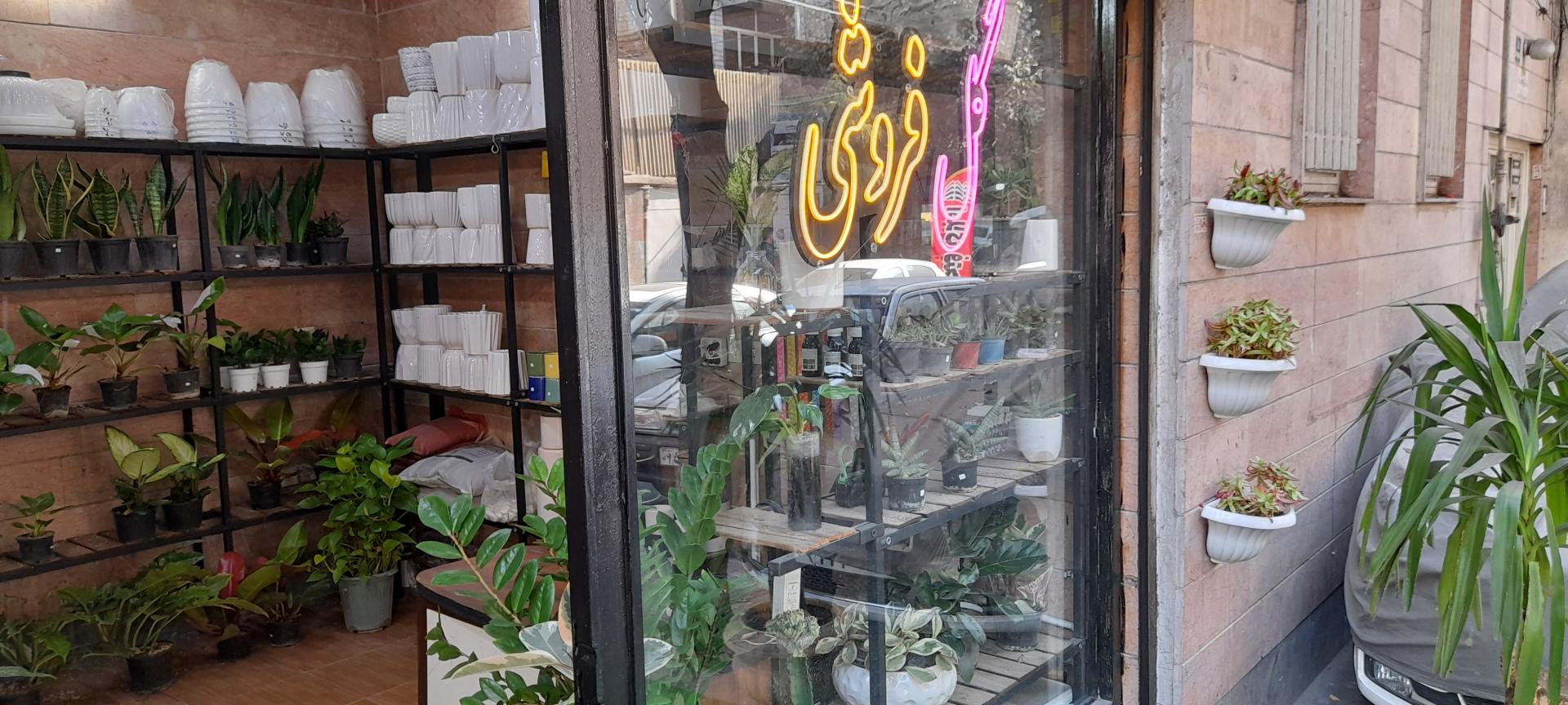 عکس گل فروشی سلطانی 