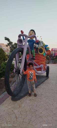 عکس پرند
