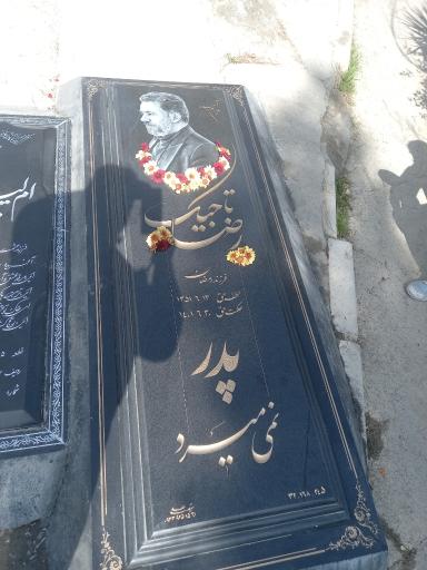 عکس مقبره رضا