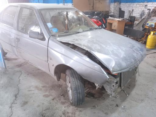 عکس صافکاری و نقاشی رادمان