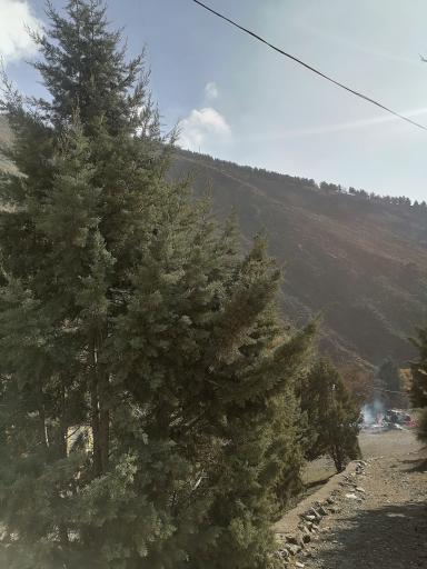 عکس کوه دار آباد