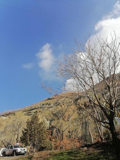 عکس کوه دار آباد