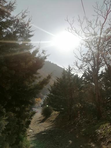 عکس کوه دار آباد