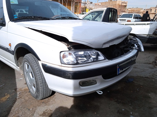 عکس صافکاری و نقاشی رادمان