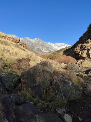 عکس کوه دار آباد