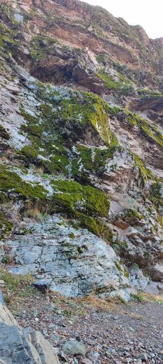 عکس کوه دار آباد