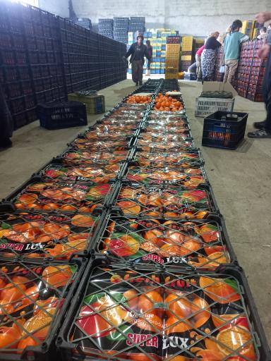 عکس سورتینگ جواد فقانی و منصور گلی