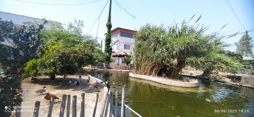 عکس باغ پرندگان فریدونکنار