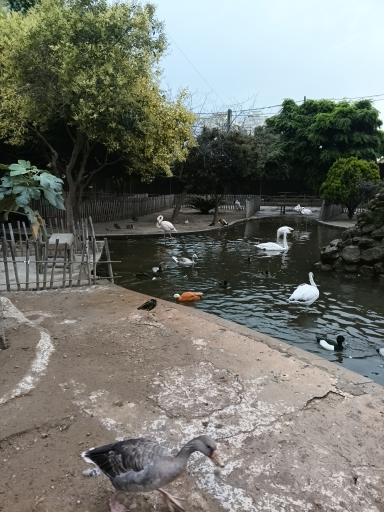 عکس باغ پرندگان فریدونکنار