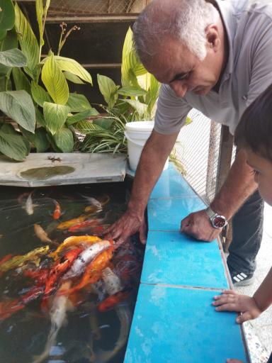 عکس باغ پرندگان فریدونکنار