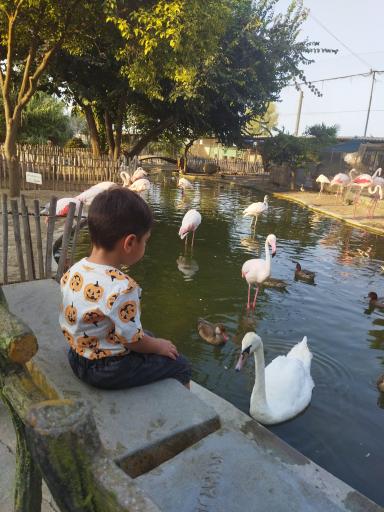 عکس باغ پرندگان فریدونکنار