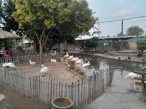 باغ پرندگان فریدونکنار