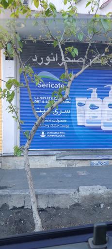 داروخانه دکتر صحرانورد