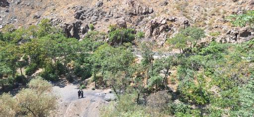 عکس کوه دار آباد