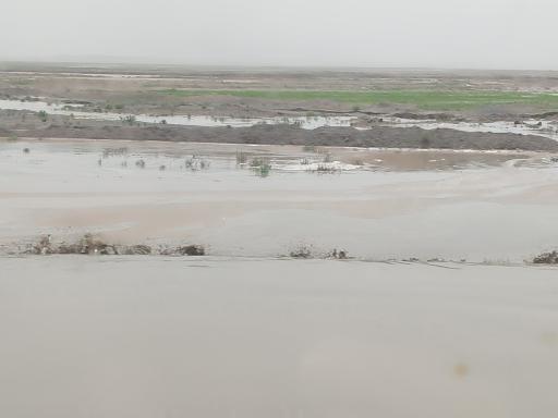 عکس صدخرو