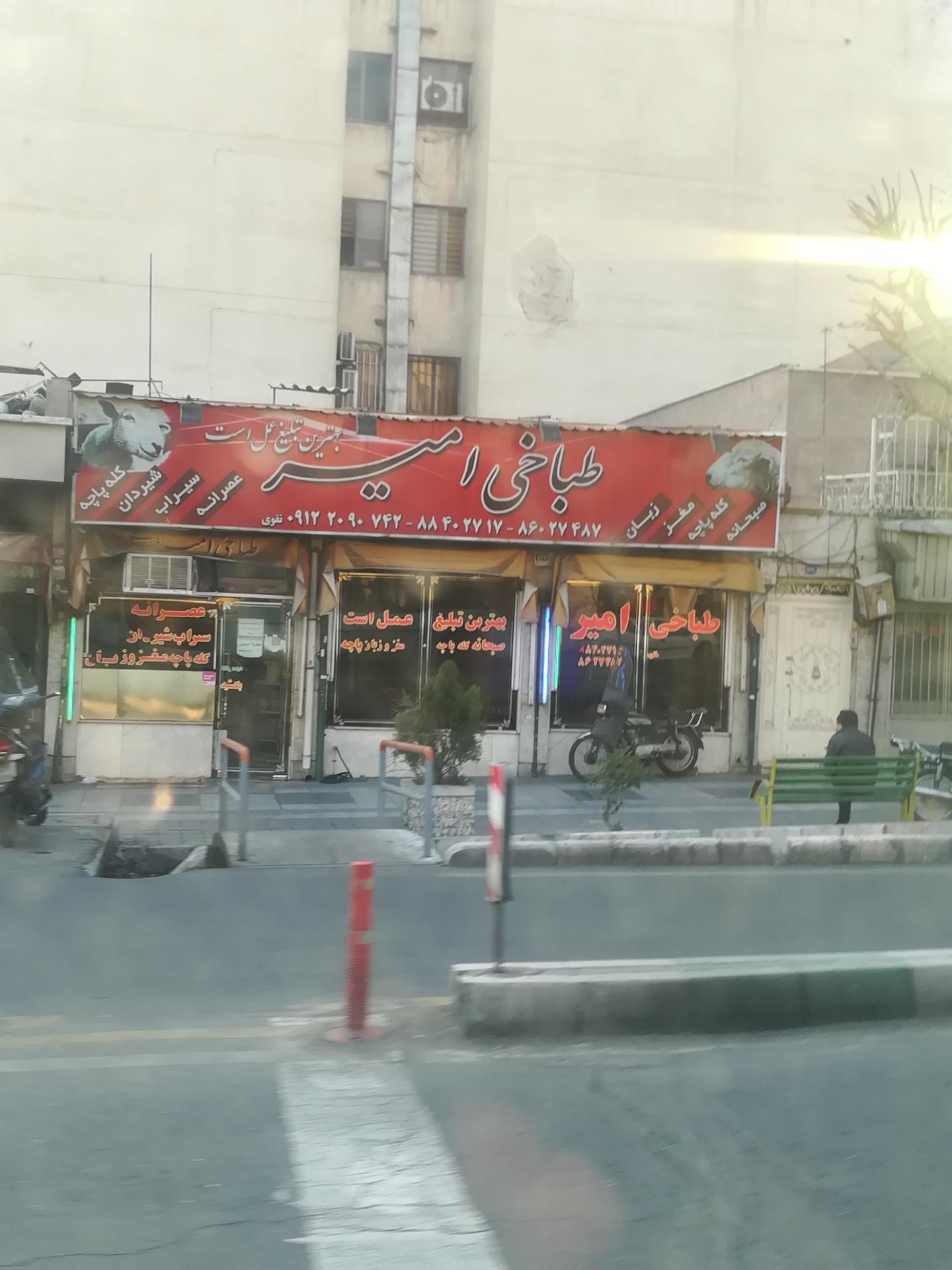 عکس طباخی امیر