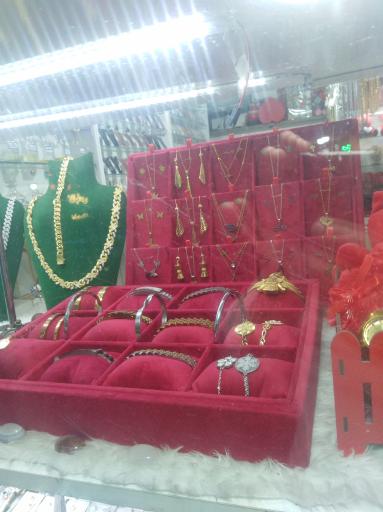 عکس گالری ذاکر