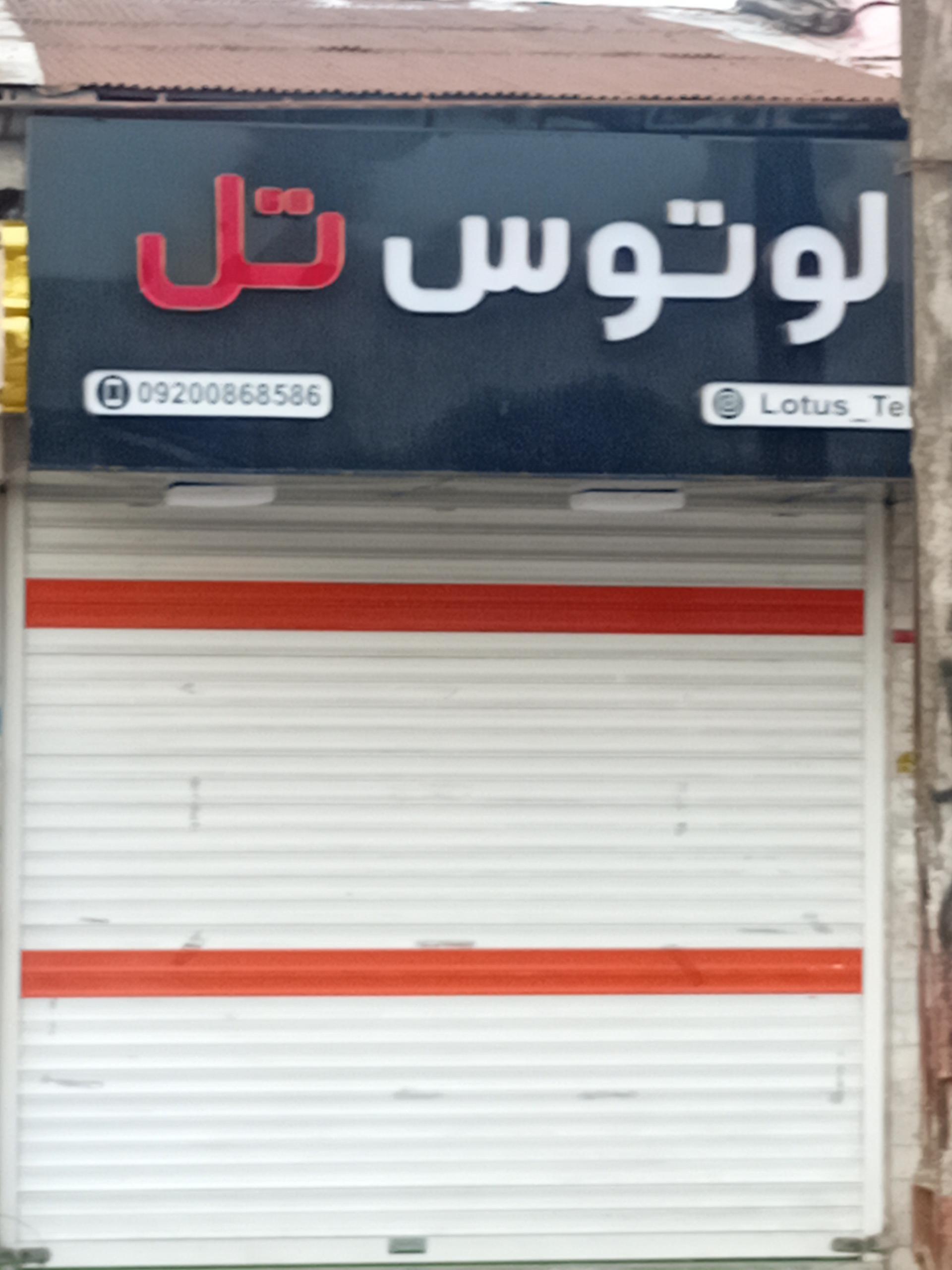 عکس لوتوس تل