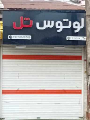 عکس لوتوس تل