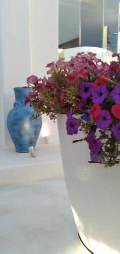 عکس کافی شاپ اینترنی