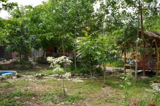 عکس باغ رستوران تاپ جمشید