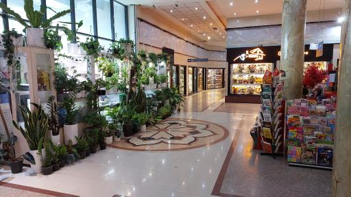 عکس مرکز خرید ملاصدرا