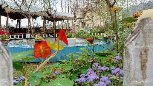 عکس باغ رستوران تاپ جمشید