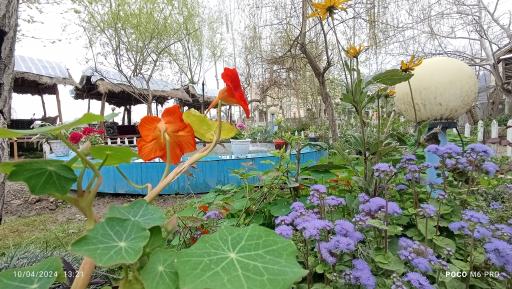 عکس باغ رستوران تاپ جمشید