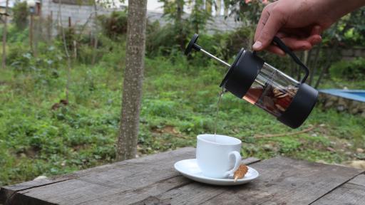 عکس باغ رستوران تاپ جمشید