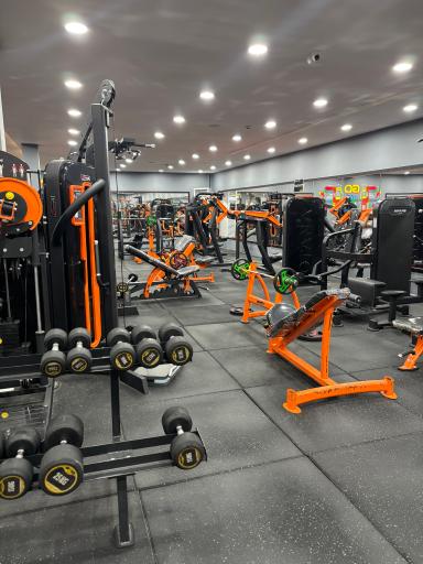 عکس باشگاه تلاش