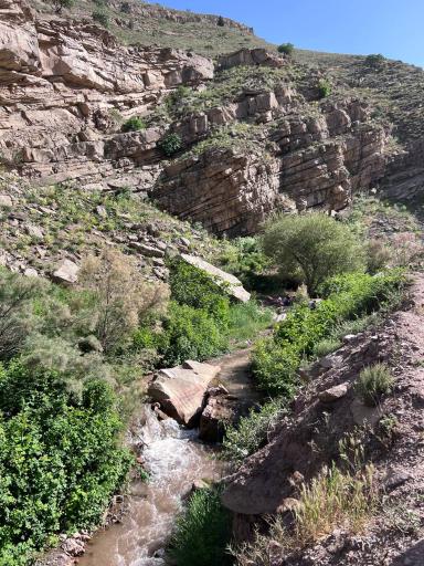 عکس چشمه‌های آب‌گرم کلات