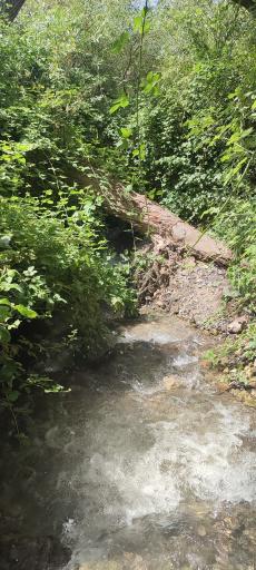 عکس چشمه‌های آب‌گرم کلات