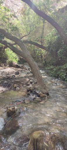 عکس چشمه‌های آب‌گرم کلات