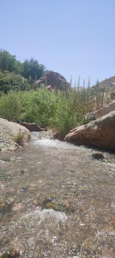 عکس چشمه‌های آب‌گرم کلات