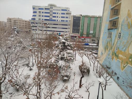 عکس پارک لادن
