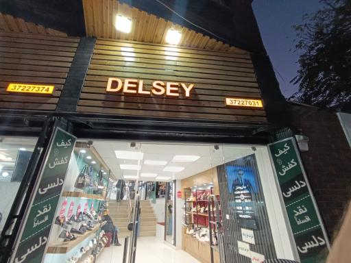 عکس کفش دلسی