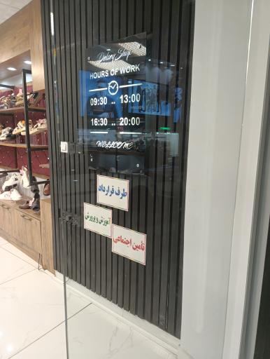 عکس کفش دلسی