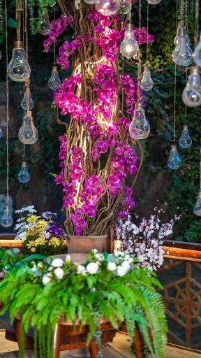 عکس مجتمع گردشگری قصر خورشید طرقبه